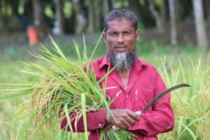 Agriculture